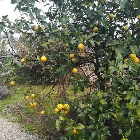 Masseria L'antico Frantoio Отель