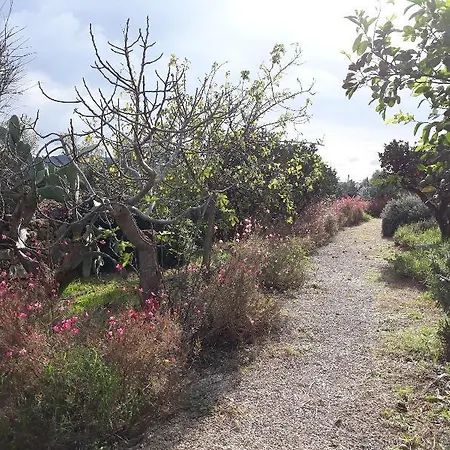 Ξενοδοχείο Masseria L'antico Frantoio 3*