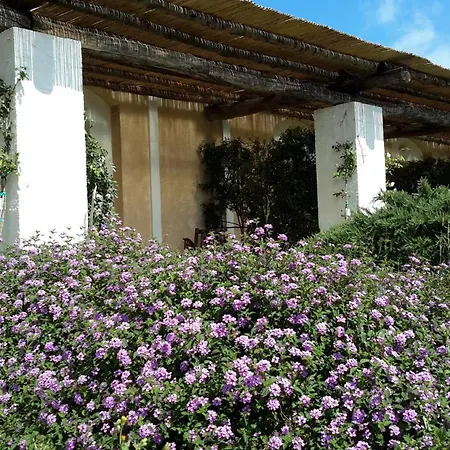 Masseria L'antico Frantoio Ξενοδοχείο Gallipoli