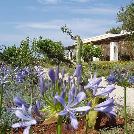 Masseria L'antico Frantoio