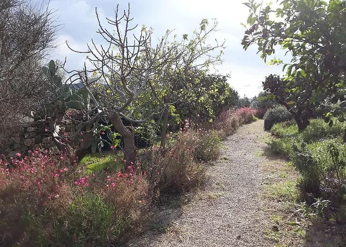 Hotel Masseria L'antico Frantoio 3*