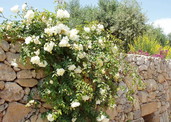 Masseria L'antico Frantoio Hotel 3*